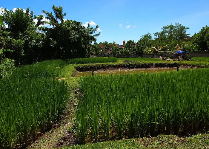 فندق Saren Indah