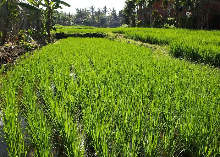 Hotel Saren Indah Ubud