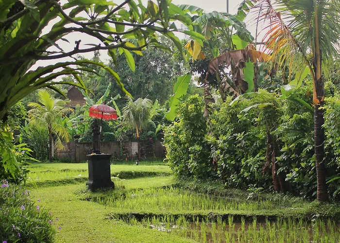 Saren Indah 3* Ubud