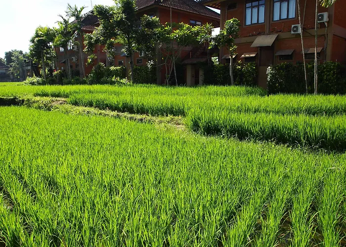 Saren Indah 3* Ubud