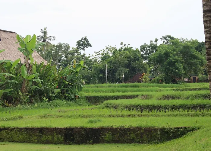 Saren Indah