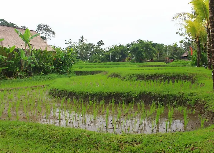 Hotel Saren Indah 3*